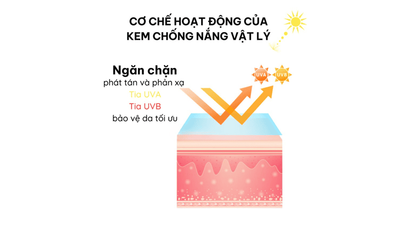 Cơ chế hoạt động
