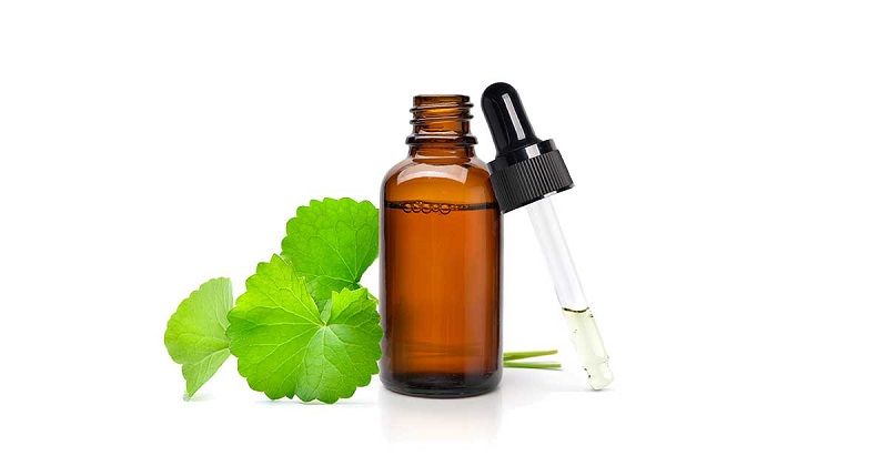 Rau má, hay còn gọi là Centella Asiatica hoặc Cica, là một loại thảo mộc quý giá trong y học cổ truyền và ngày càng được ứng dụng rộng rãi trong mỹ phẩm.