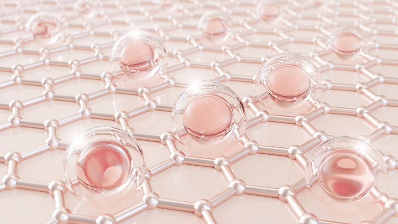 Ceramide là một loại lipid (chất béo) tự nhiên chiếm đến 50% cấu tạo của hàng rào bảo vệ da.