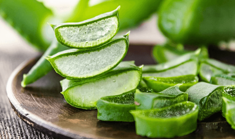 Công dụng "thần kỳ" của nha đam (lô hội)