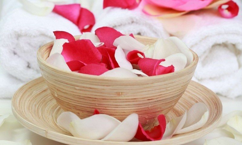 Cánh hoa hồng tươi: Đây là nguyên liệu quan trọng nhất quyết định chất lượng của nước hoa hồng.