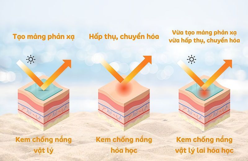 Mỗi loại đều có những ưu nhược điểm riêng, phù hợp với từng loại da và mục đích sử dụng