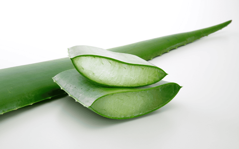 Gel nha đam chứa hàm lượng lớn vitamin, khoáng chất và chất chống oxy hóa, mang đến nhiều lợi ích vượt trội cho làn da