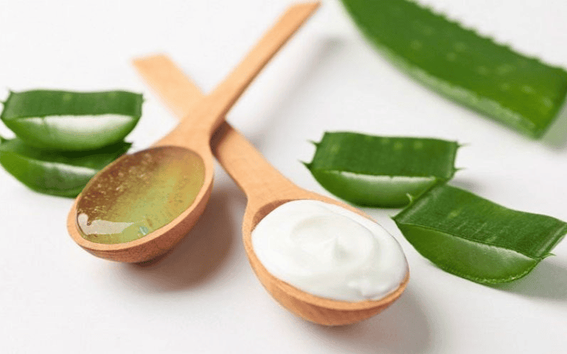 Công thức giúp da sáng mịn và khỏe mạnh nhờ sự kết hợp của nha đam và lợi khuẩn từ sữa chua