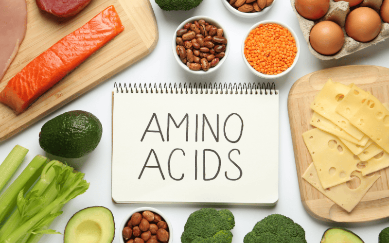 Amino acid là những hợp chất hữu cơ nhỏ, đóng vai trò quan trọng trong việc hình thành protein, thành phần thiết yếu của cơ thể