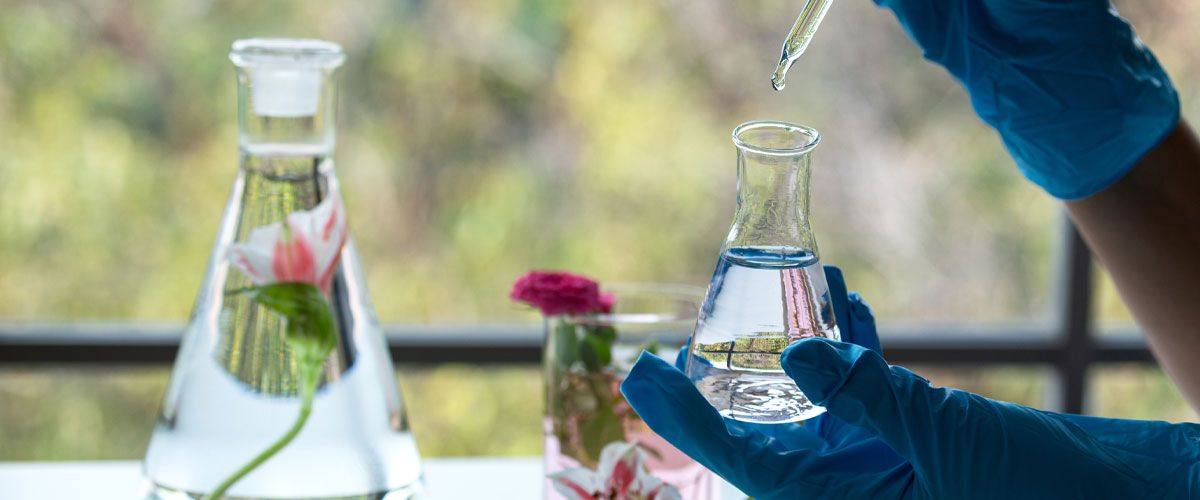 các thành phần trong mỹ phẩm gây mụn ẩn hình 5.jpg