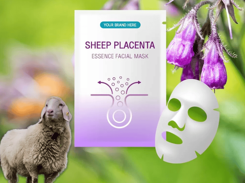 cách dùng mặt nạ nhau thai cừu hình 1.png