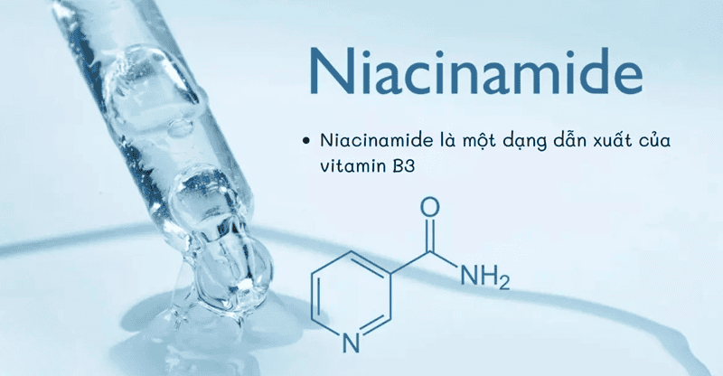 Niacinamide là một hoạt chất đa năng vô cùng lý tưởng cho mùa đông, nó nổi bật với khả năng làm sáng da hiệu quả