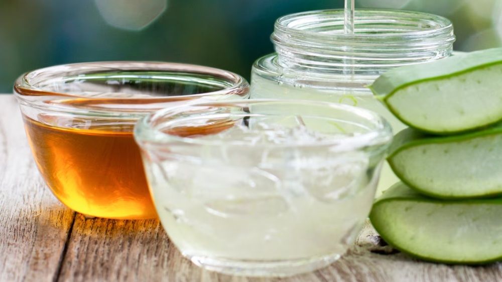 Hoạt chất Polysaccharides trong nha đam giúp cho tế bào da ngậm nước