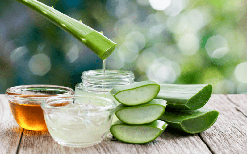 Nước hoa hồng từ nha đam không chỉ giúp cân bằng độ pH tự nhiên của da mà còn giữ nước, làm mềm và làm dịu