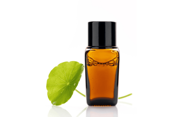 Toner rau má mật ong là sự kết hợp hoàn hảo dành cho làn da khô, thiếu nước và cần được phục hồi sâu