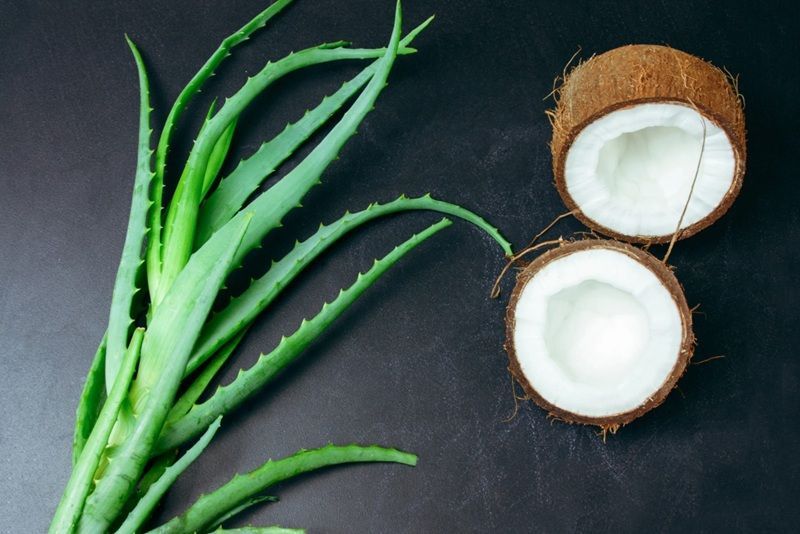 Việc hòa quyện gel nha đam tươi mát cùng khả năng dưỡng ẩm sâu của dầu dừa sẽ tạo nên một liệu pháp thư giãn