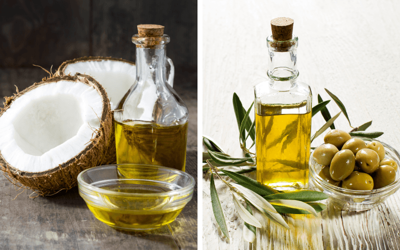 so sánh chi tiết dầu olive và dầu dừa
