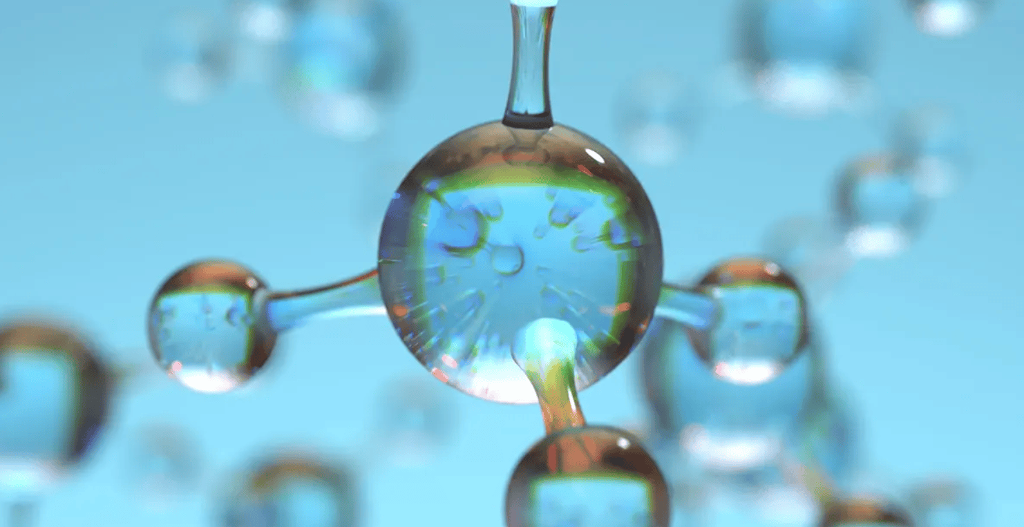 ectoin là gì hình 2.png