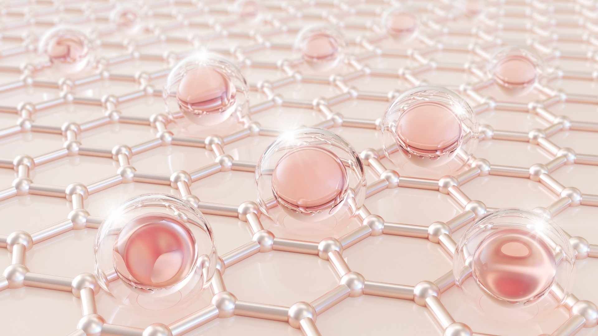 Hàng rào bảo vệ da hay Skin Barrier là lớp ngoài cùng của biểu bì