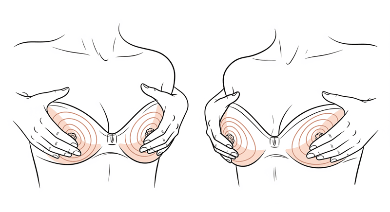 Xoay tròn đều quanh bầu ngực là động tác nền tảng để làm nóng bầu ngực, kích thích lưu thông máu
