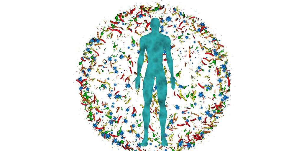 microbiome là gì hình 5.jpg