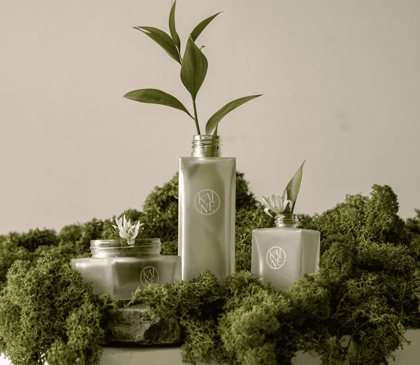 mỹ phẩm kaine có tốt không hình 5.png