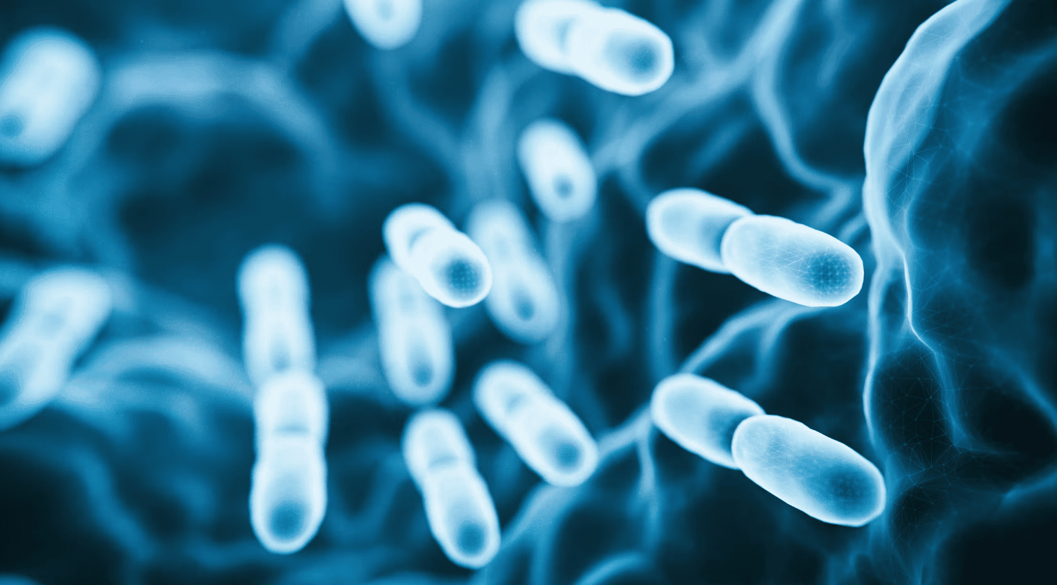 postbiotics là gì hình 7.png