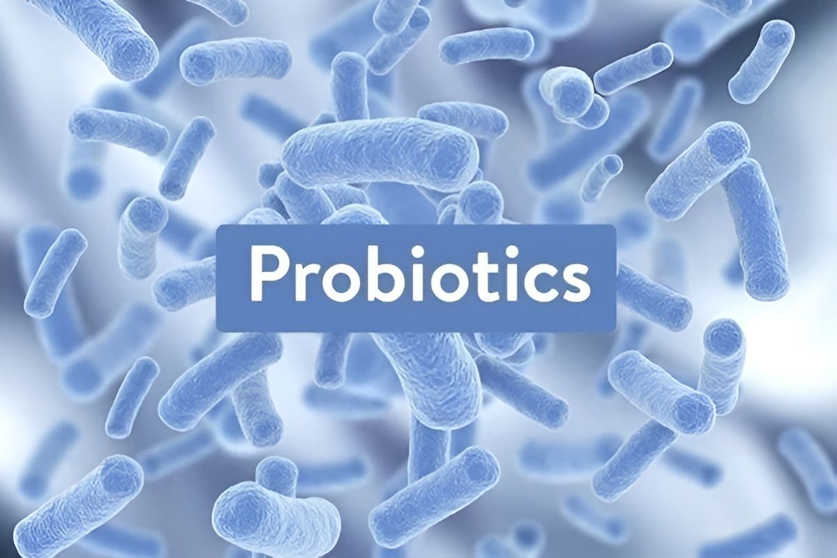 probiotic là gì hình 1.jpg