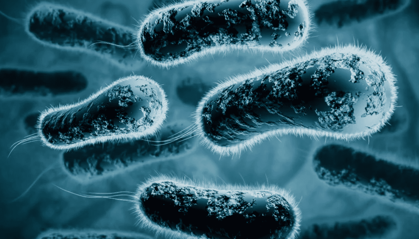 probiotic là gì hình 3.png