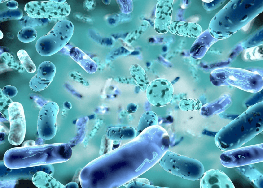 probiotic là gì hình 5.png