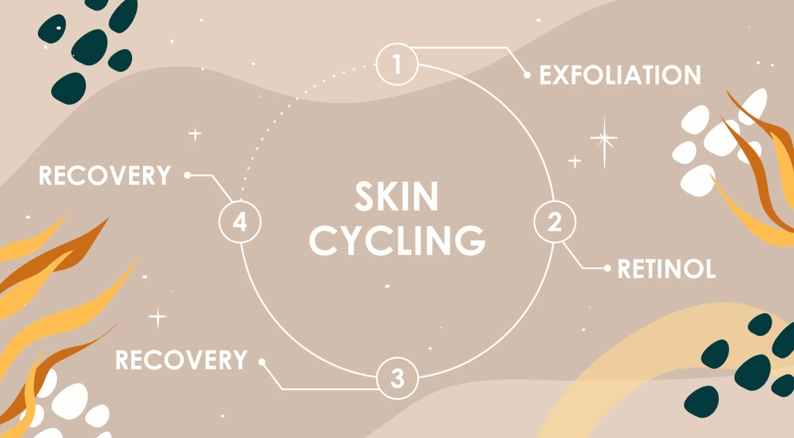 skin cycling hình 1.png