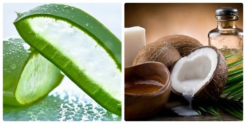 Nha đam có tính mát giúp làm dịu da đầu bị kích ứng, giảm ngứa và viêm