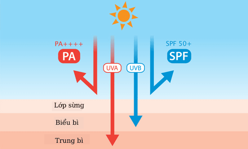 Chỉ số chống nắng là yếu tố đầu tiên cần quan tâm khi lựa chọn kem chống nắng đi biển