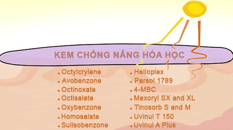 Các thành phần chính trong kem chống nắng hóa học